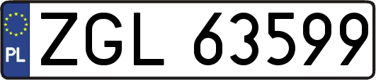 ZGL63599