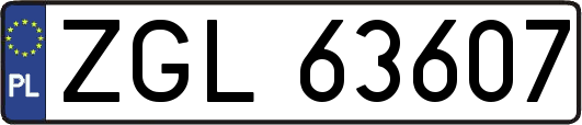 ZGL63607