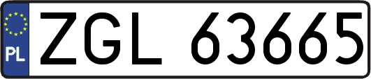 ZGL63665
