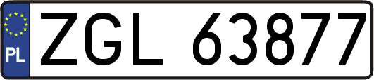 ZGL63877