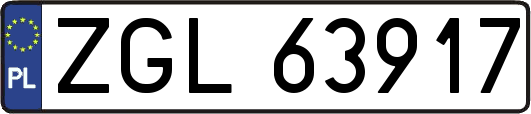 ZGL63917