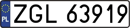 ZGL63919