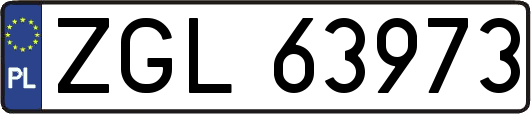 ZGL63973