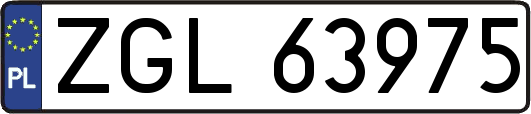 ZGL63975