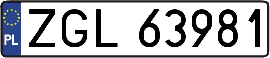 ZGL63981