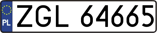 ZGL64665
