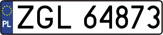 ZGL64873
