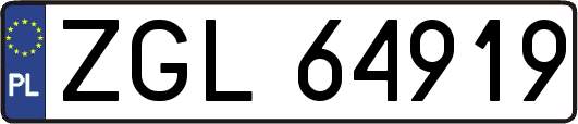 ZGL64919