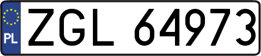 ZGL64973