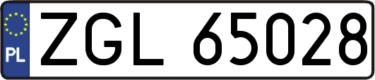 ZGL65028