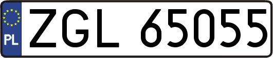 ZGL65055
