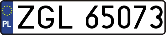 ZGL65073