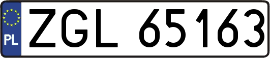 ZGL65163