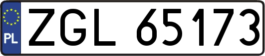 ZGL65173