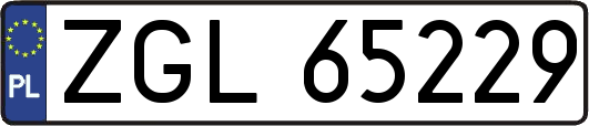 ZGL65229