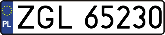 ZGL65230
