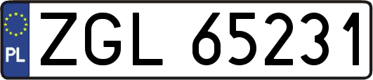 ZGL65231