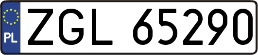 ZGL65290
