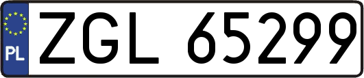 ZGL65299