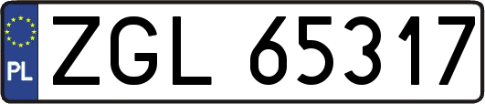 ZGL65317