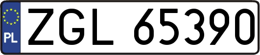 ZGL65390