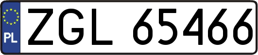 ZGL65466