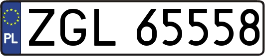 ZGL65558