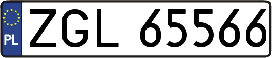 ZGL65566