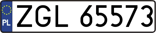 ZGL65573