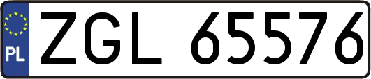 ZGL65576