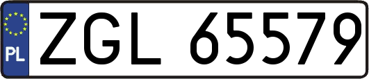 ZGL65579