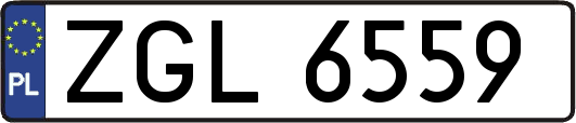 ZGL6559
