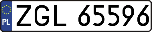 ZGL65596