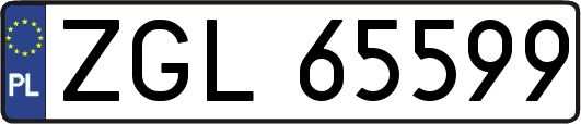 ZGL65599