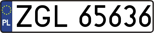 ZGL65636
