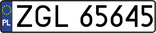 ZGL65645