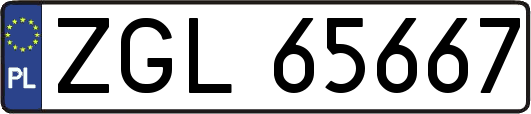 ZGL65667