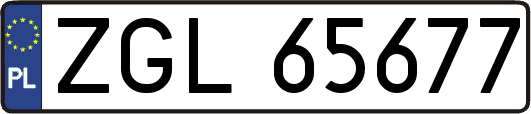 ZGL65677