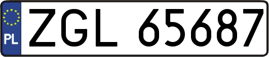 ZGL65687