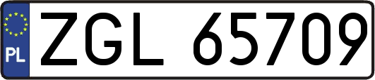ZGL65709