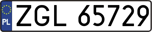ZGL65729