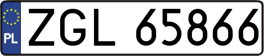 ZGL65866