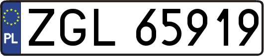 ZGL65919