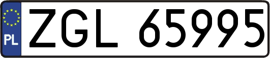 ZGL65995