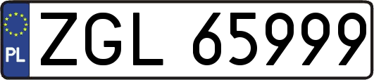 ZGL65999