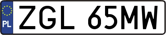 ZGL65MW