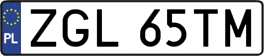 ZGL65TM