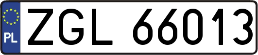 ZGL66013