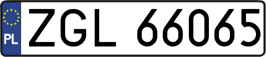ZGL66065