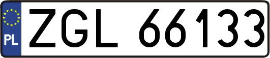 ZGL66133